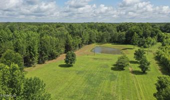 1144 Little Big Mound Rd, Bentonia, MS 39040