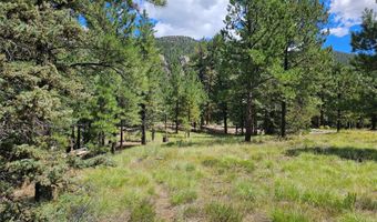 105 Quail Rdg, Antonito, CO 81120