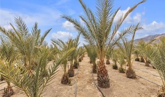 2253 N Saddleback Dr, Amargosa Valley, NV 89020