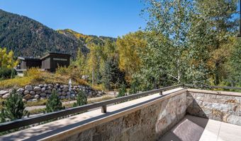 1154 E Cooper Ave B, Aspen, CO 81611