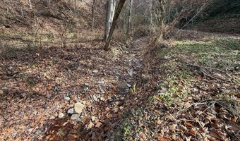 177 Miller Hollow Rd, Bean Station, TN 37708