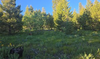 1 Big Sky Ridge Rd, Drummond, MT 59832