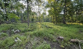000 Jasmine Ave, Atlanta, MO 63530