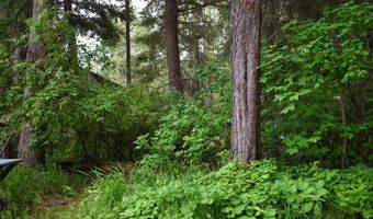 392 Shingle Mill Loop, Bonners Ferry, ID 83805
