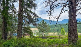 222 Childs Rd, Trout Creek, MT 59874
