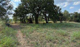 153 Cattail Trl, Millsap, TX 76066