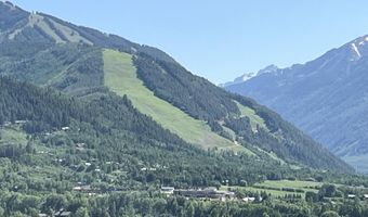 162 Bennett Bench Rd, Aspen, CO 81611