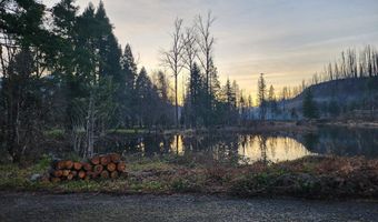 54432 MCKENZIE Hwy 23, Blue River, OR 97413