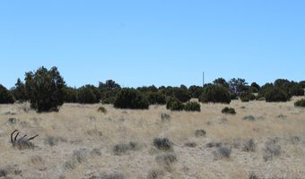 80 County Road 8620, Concho, AZ 85924
