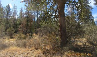 Tiger Lane lot 2, Bonanza, OR 97623