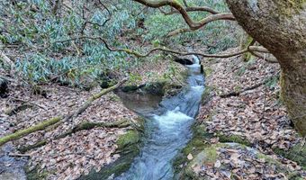 6 83ac Webb Creek Rd, Andrews, NC 28901