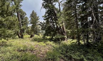 1272 N Aspen Rd, Brian Head, UT 84719