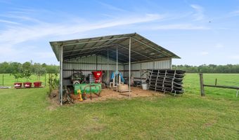 91801 U. S. Highway 98, Beaumont, MS 39423