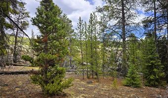 700 Looney Ln Lot 0, Alma, CO 80420