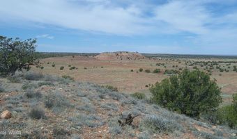 98 N9222, Concho, AZ 85924