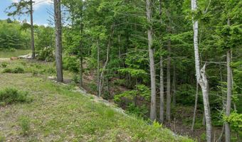Map 15 Lot 60 Brynn Lane lot 60, Alton, NH 03809