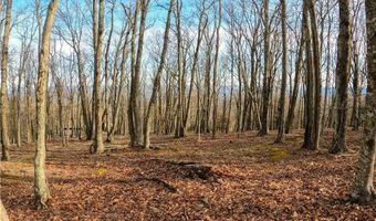 663 Rocky Pkwy, Banner Elk, NC 28607