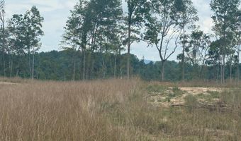 5 Hunter Barn Ridge Rd, Albany, KY 42602