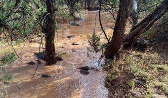164 Rattlesnake Rd, Ash Fork, AZ 86320