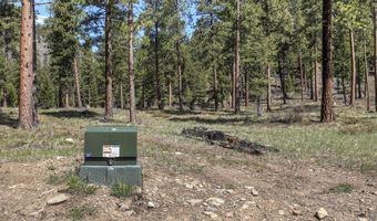 Nhn Mountain Vista Lane, Alberton, MT 59820