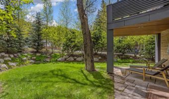 100 Park Ave, Aspen, CO 81611