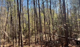 Chief Rd, Abbeville, AL 36310