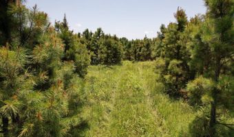 0001 E 1960 Rd, Antlers, OK 74523
