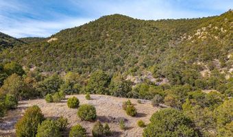 26131 Pinon Ridge Dr, Aguilar, CO 81020