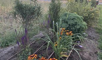 162 HONEYBEE Ln, Afton, WY 83110