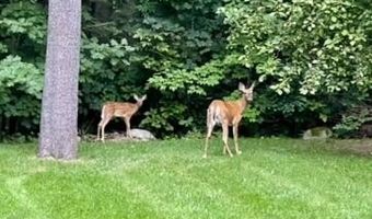 43 Darling Parke Dr, Bangor, ME 04401