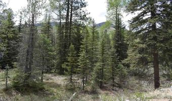 264 Ponderosa Homes Rd, Bayfield, CO 81137