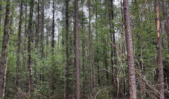 Hwy 49, Brooklyn, MS 39425