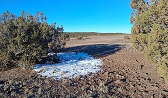 286 County Rd, Concho, AZ 85924