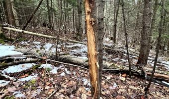 1156 Baird Rd, Barton, VT 05822