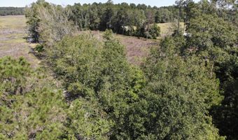 Old Buckhead Road, Bamberg, SC 29003