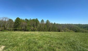H O Allison lot 9 & 10, Baxter, TN 38544