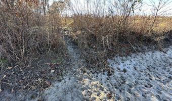 0 Bivalve Lodge Rd, Bivalve, MD 21814