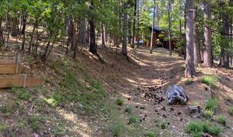 2946 Venado Dr, Arnold, CA 95223