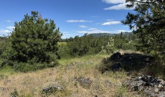 NNA Rusho Lane, Blanchard, ID 83804