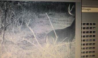 001 Farr Rd, Bolton, MS 39041