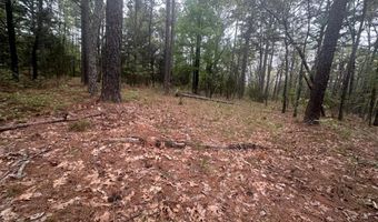 UNIT # 263B KIAMICHI WILDERNESS RD Unit # 63 63, Antlers, OK 74523