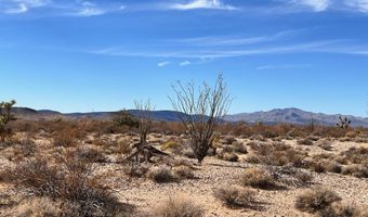 Lot 166 Lake Havasu Acres, Yucca, AZ 86438