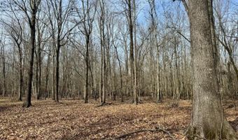 Putnam Road, Belzoni, MS 39038