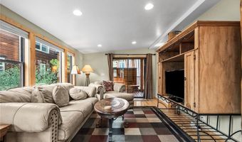 85 Revett Dr 100, Breckenridge, CO 80424