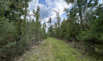 3951 MS-42, Bassfield, MS 39421