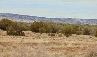 Tbd County Rd 5407 204-50-330A, Concho, AZ 85924