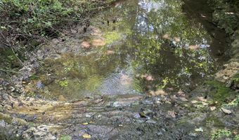 6609 County Road O-535, Ava, MO 65608