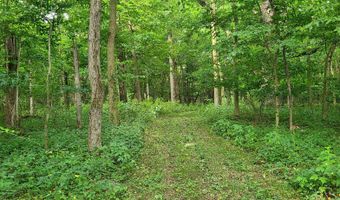 65 Acres 107th Ave, Allegan, MI 49010