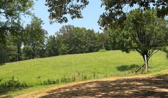 1172 Jeff Sanders Rd, Batesville, MS 38606