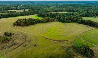 100 Acres Harmony Church Rd, Andalusia, AL 36421